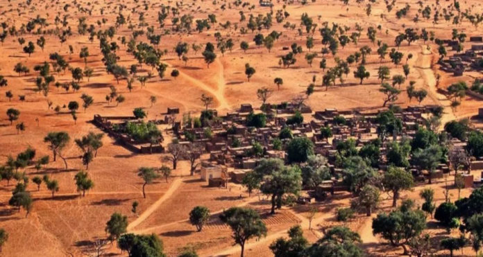 AI discovers over 1.8 billion trees in Sahara Desert

@uni_copenhagen @NASA @WWF @nature 
#SaharaDesert #trees #ArtificialIntelligence #satelliteimages  #largesthotdesert #Africa 

READ| newsvibesofindia.com/ai-discovers-o…