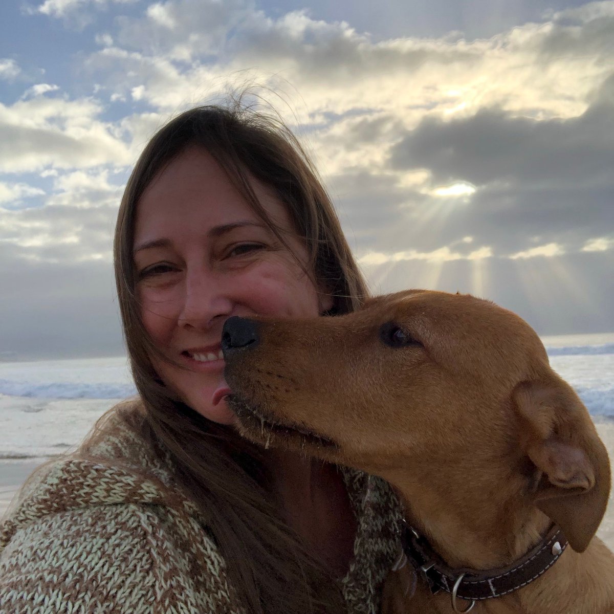 IntentionsWild's tweet photo. 🐕OUR DOG NAMED KING👑 

He is our “pavement special”...and SPECIAL he really is! 

He loves Liam, playing in the rock pools and lots and lots of attention from us all!

His name is King because he has a little “crown” in his hairline on his forehead! https://t.co/MKkYHGQz4A