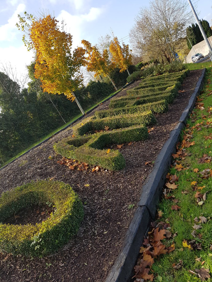 Walked up to the new excercise track at the sports centre.