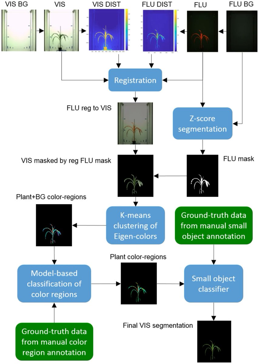 sci_plant's tweet photo. A two-step registration-classification approach to automated segmentation of multimodal images for high-throughput greenhouse plant phenotyping

https://t.co/7jCWkWNXfs
#plantsci #plantphenotyping #plantmethod ♻️ https://t.co/CRmu6uTViX