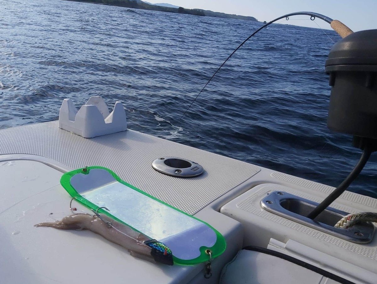 ReelBCFishing's tweet image. #ReelObsession is proud to support our #BCLocal businesses. Shown here - a #Gibbs UV Herring Aid Teaser Head with a wired squid, paired with the Gibbs green STS Flasher on a custom #savagerod - When the #chinook are feeding on #squid this combo produces. 
#supportbc #lures #rods