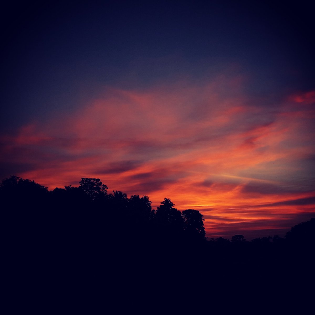 CharithaMadu's tweet photo. #beautifulsunset #beauty #sunsets #photooftheday #photoofday #nightsky #sunnyday #beautifulnature #naturephotography #phonephotography #abstractart #click #travelphotography #instagood #artist #artlovers #photolovers #travelling #travellover #naturelovers #life #drawingoftheday https://t.co/7ZzxmXgSLB