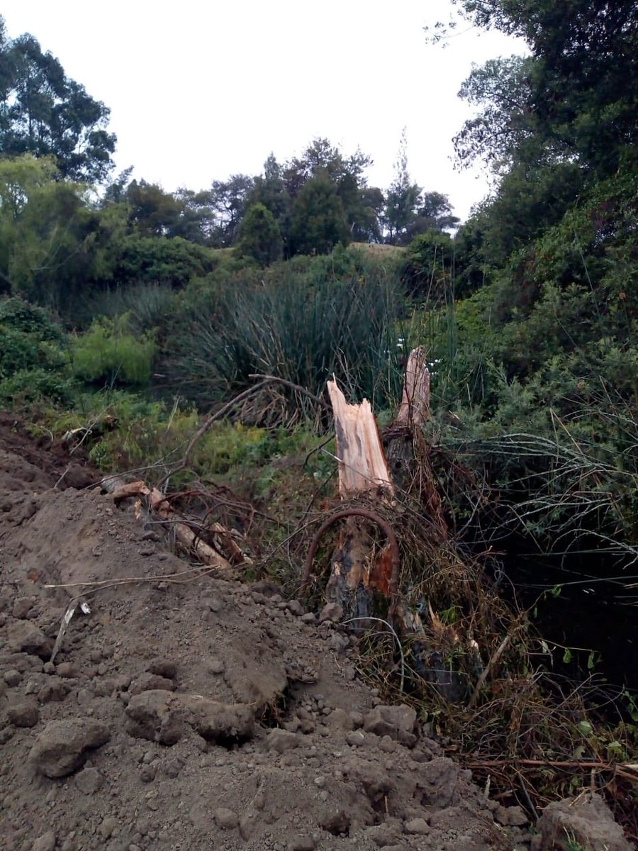 MMMaldonadoC's tweet image. Mientras acaba de destruir el río Teusacá, la CAR inicia obras para hacer lo mismo con el río Chicú.
Y la @PGN_COL se lava las manos  diciendo que la CAR está “salvaguardando” el patrimonio natural  bajo su responsabilidad, y no emprende ninguna acción