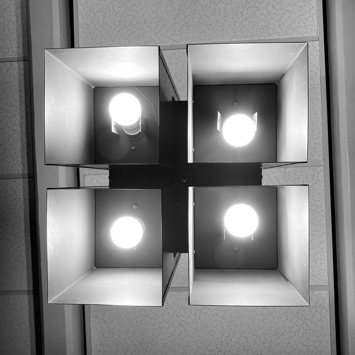 Vanderbilt_GREES tweet media