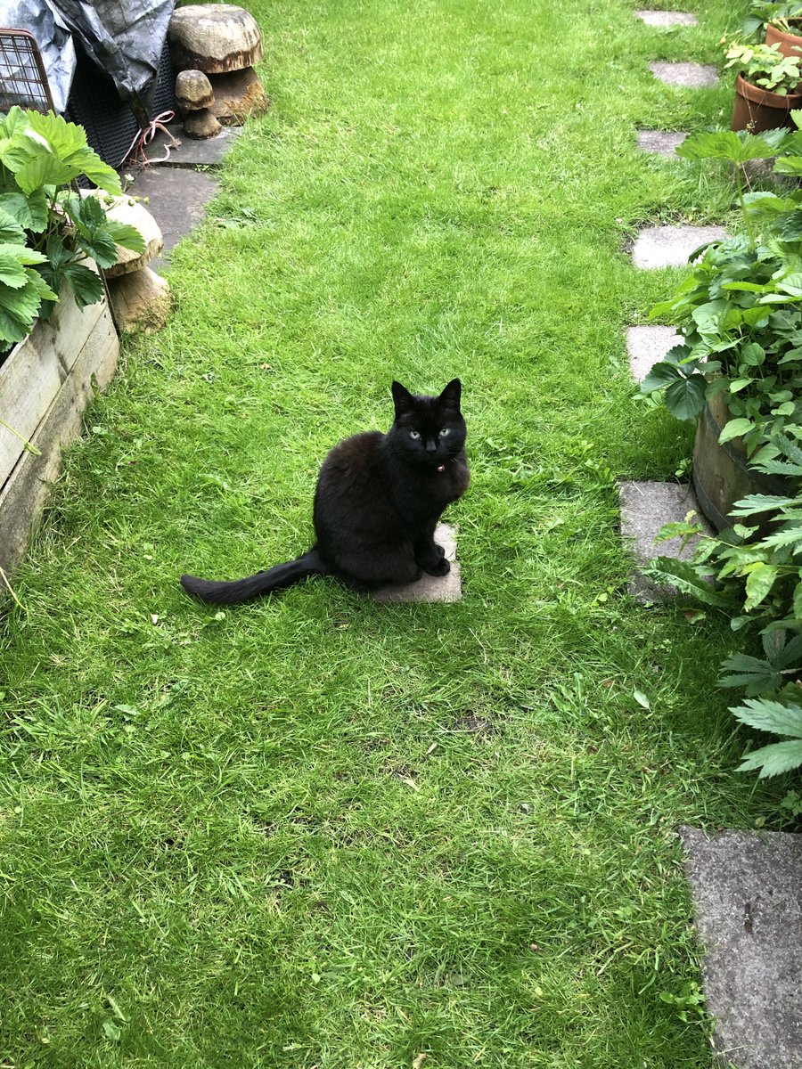 He definitely is! What a stunner... ❤️