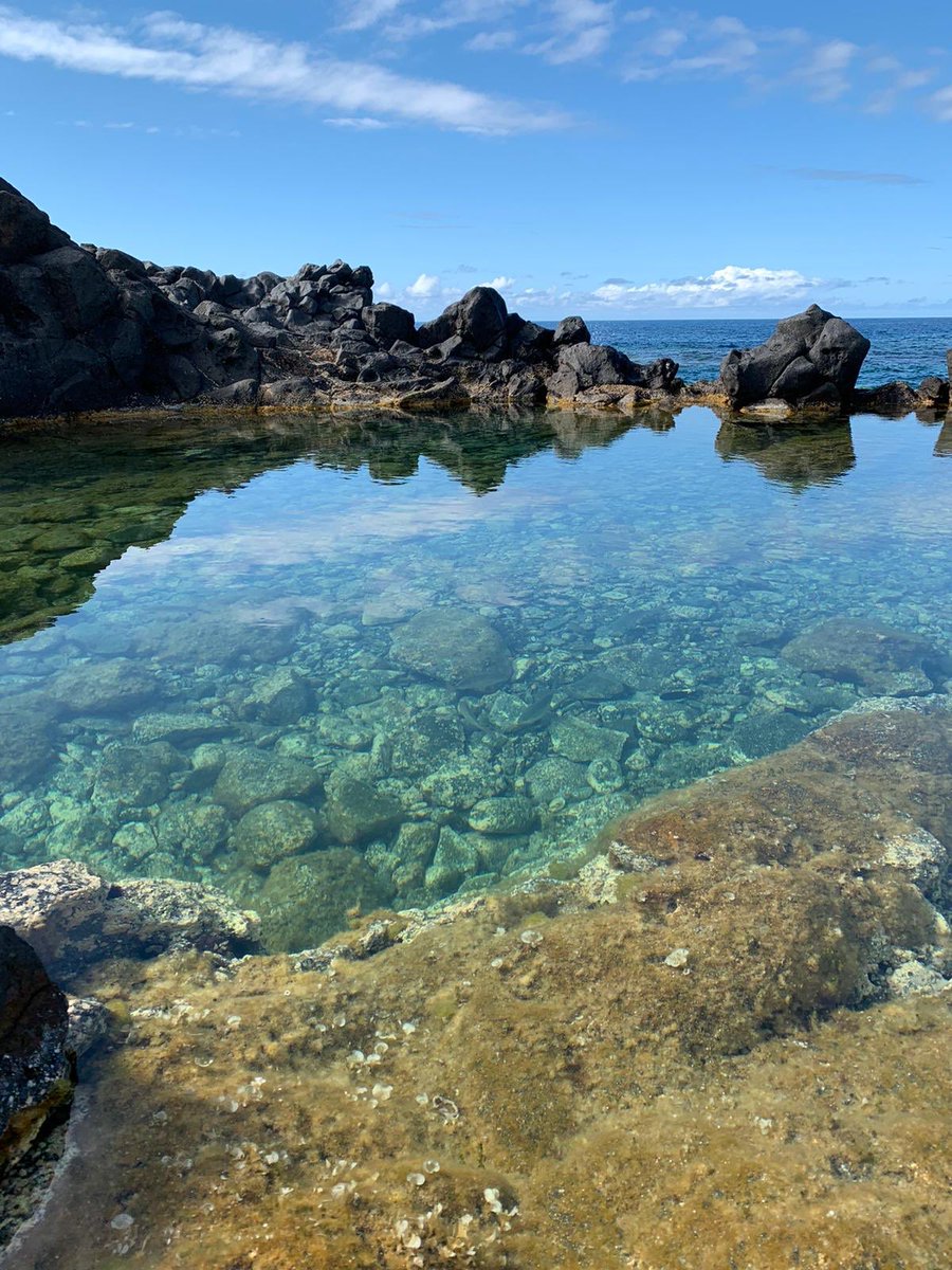 TurismoLosSilos's tweet photo. Charco Los Chochos - #LosSilos #IslaBaja #Tenerife #Canarias #Kanarischeinseln #CanaryIslands #Atlántico #DasLebengenießen #EnjoyTheFlow #ViajerosTenerife #disfrutalavida https://t.co/qphtqsQpzC