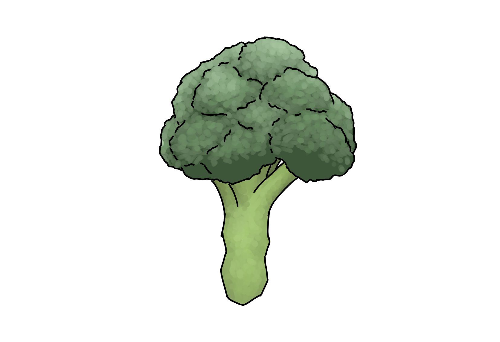 毎日イラストイタリア語 ブロッコリー Cavolo Broccolo カーヴォロ ブロッコロ 名前 にcavolo キャベツ とあるように ブロッコリーとキャベツはどちらも同じ原種から変化した野菜です 他にも近い種として Cavolfiore カリフラワー や Cavolo Verza