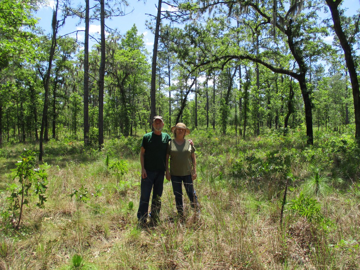 FFS_Waccasassa's tweet photo. @FLForestService honors Craig Gillikin and Joanne Duffy of #GilchristCounty as outstanding #Florida forest landowners in celebration of NASF's 100th anniversary. Thank you for your stewardship & maintaining the integrity of Florida's #forests! #NASF100 @StateForesters @News4Levy https://t.co/INgPWVRqt4