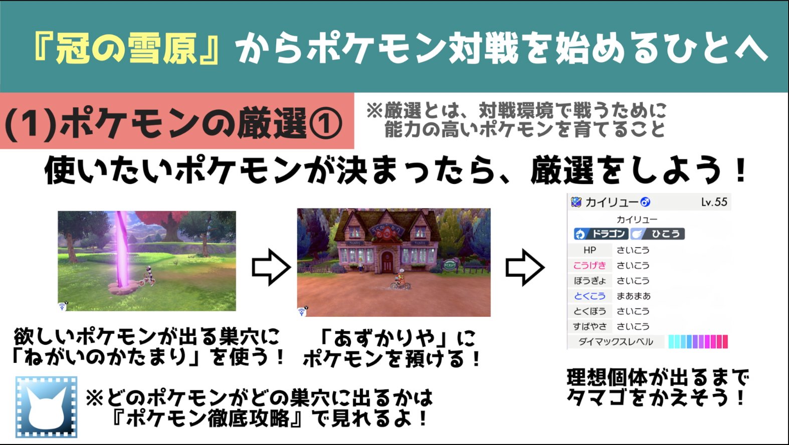 道民 冠の雪原からポケモン対戦を始める方に向けて手引きを作りました 少しでも参考になって ポケモン対戦を楽しむ方が増えたら嬉しいです T Co Y3gl9npqwg Twitter