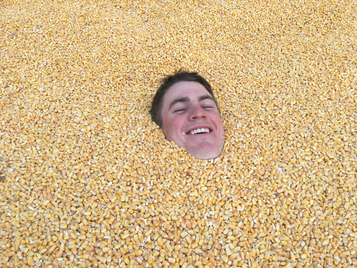 have you ever played in a sandbox filled with corn?