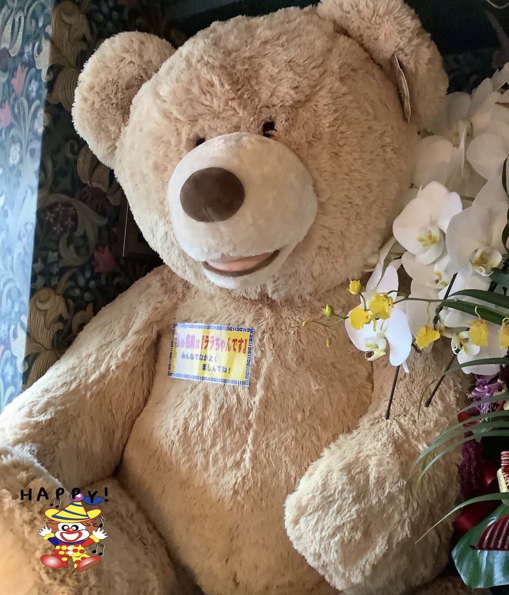 はろらっぴ！ラッキーピエロのラッキーくんです。 今日はテディベアの