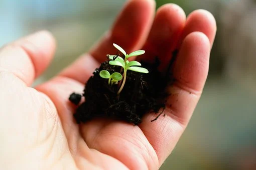 Morgen in mijn eigen wijk als gastvrouw aan de slag: online gesprek over Groen&amp;Natuur in de wijk. Over kennisdelen, zelfbeheer en groen en sociaal de coronawinter door. @wijkwijzernoordoost #Utrecht