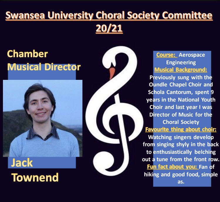 Cant forget about this lovely lot too 🎼✨