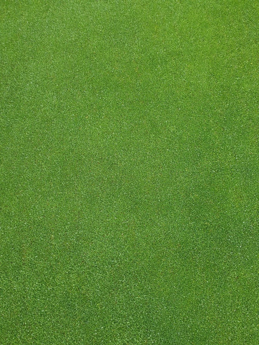 The greens up at <a href="/NewMillsGolf/">NewMillsGolfClub</a> looking fantastic and consistent throughout! <a href="/ICL_Turf/">ICL Growing Solutions - Turf & Landscape 🇬🇧🇮🇪</a> and <a href="/SyngentaTurfUK/">Syngenta Turf UK and Ireland</a> working with Nigel and his small team to produce the goods! #KStep #InstrataElite
