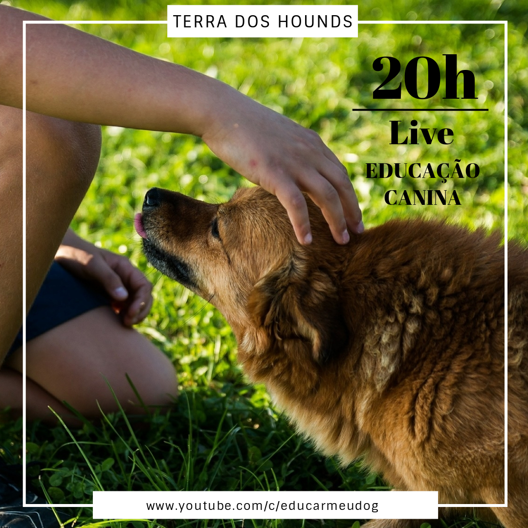 terradoshounds's tweet photo. Hoje é dia da nossa super live no canal do youtube! Venha aprender mais sobre educação canina às 20h (horário de Brasília).
https://t.co/9WDe6ITcg8
#EducarMeuDog #EducaçãoCanina #cachorros #psicologiacanina #cachorroétudodebom https://t.co/pnoj6FQ1Te