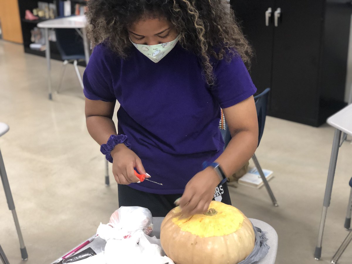 STEELE HOSA tweet media