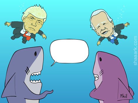 Shaaark! tweet media