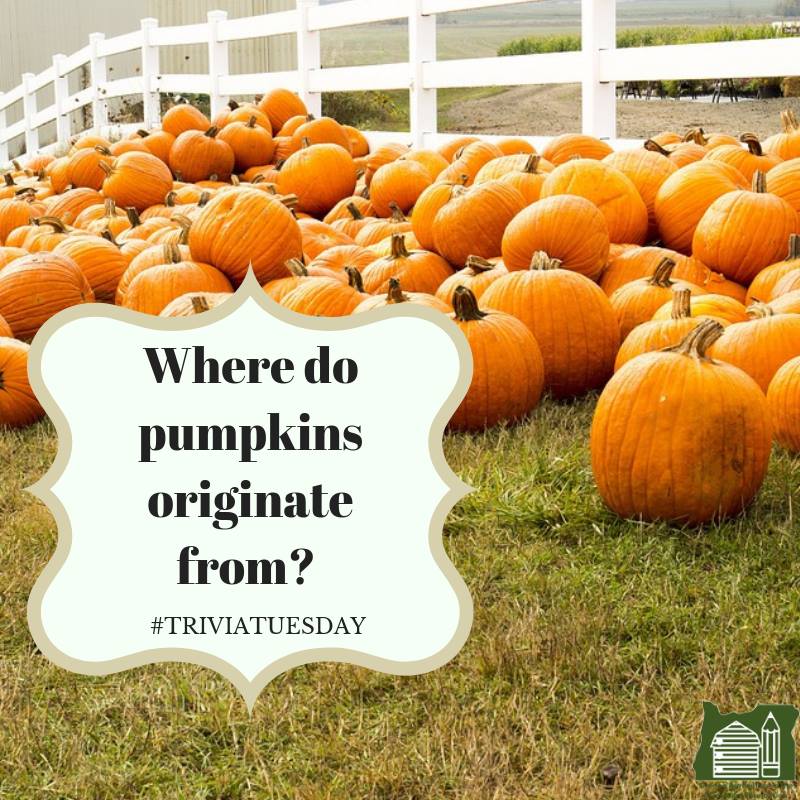 During the Fall months, the Oregon landscape becomes scattered with pumpkin patches. Pumpkins have been grown in North America for about five thousand years. Do you know what region of the world pumpkins originated from? #TriviaTuesday