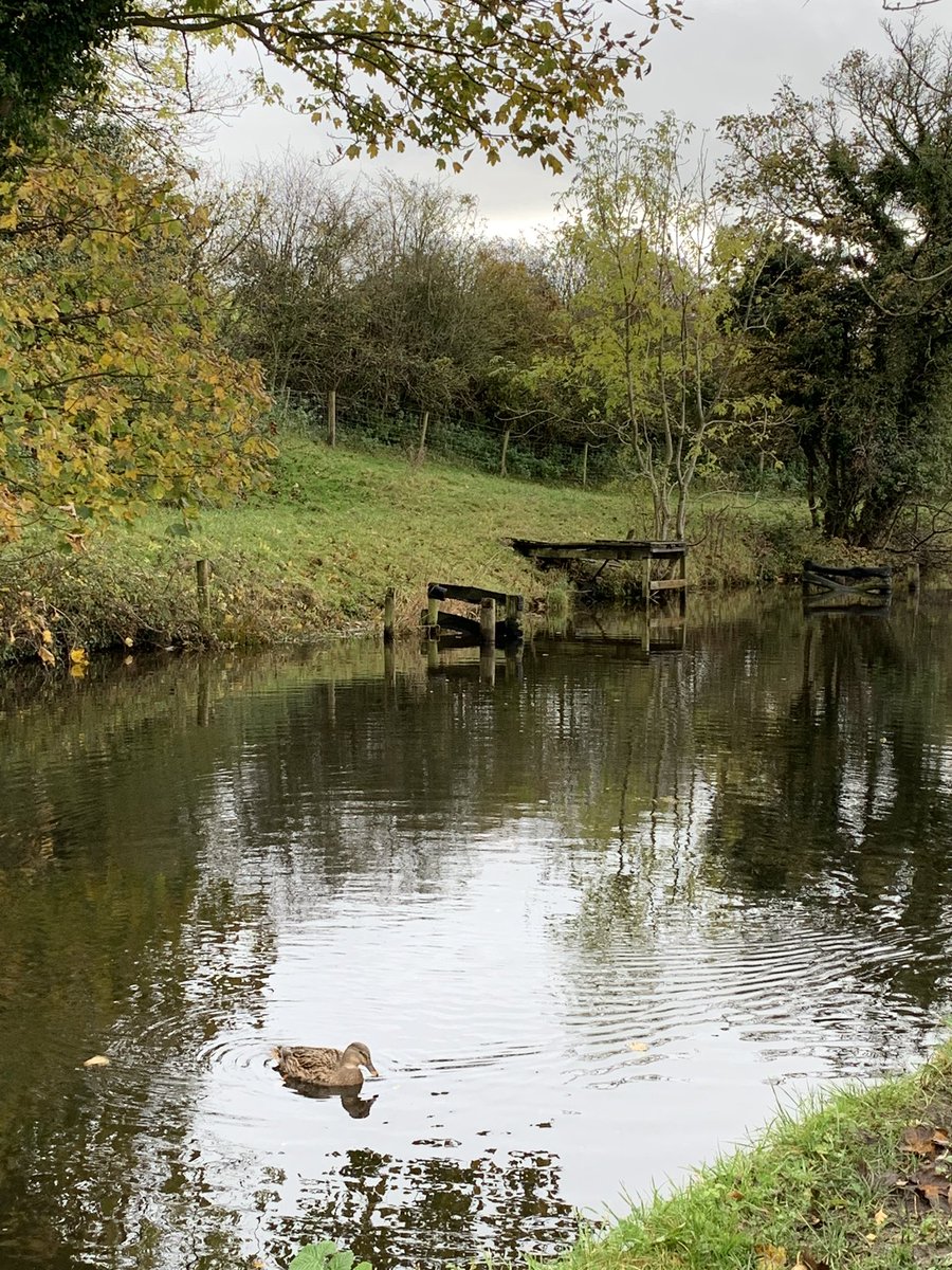 mathsbird's tweet photo. Spending my half term outdoors, regardless of the weather! #happyplace #lovewhereilive #exploring #positivemindset #rebalance https://t.co/1OKqwmrzQD