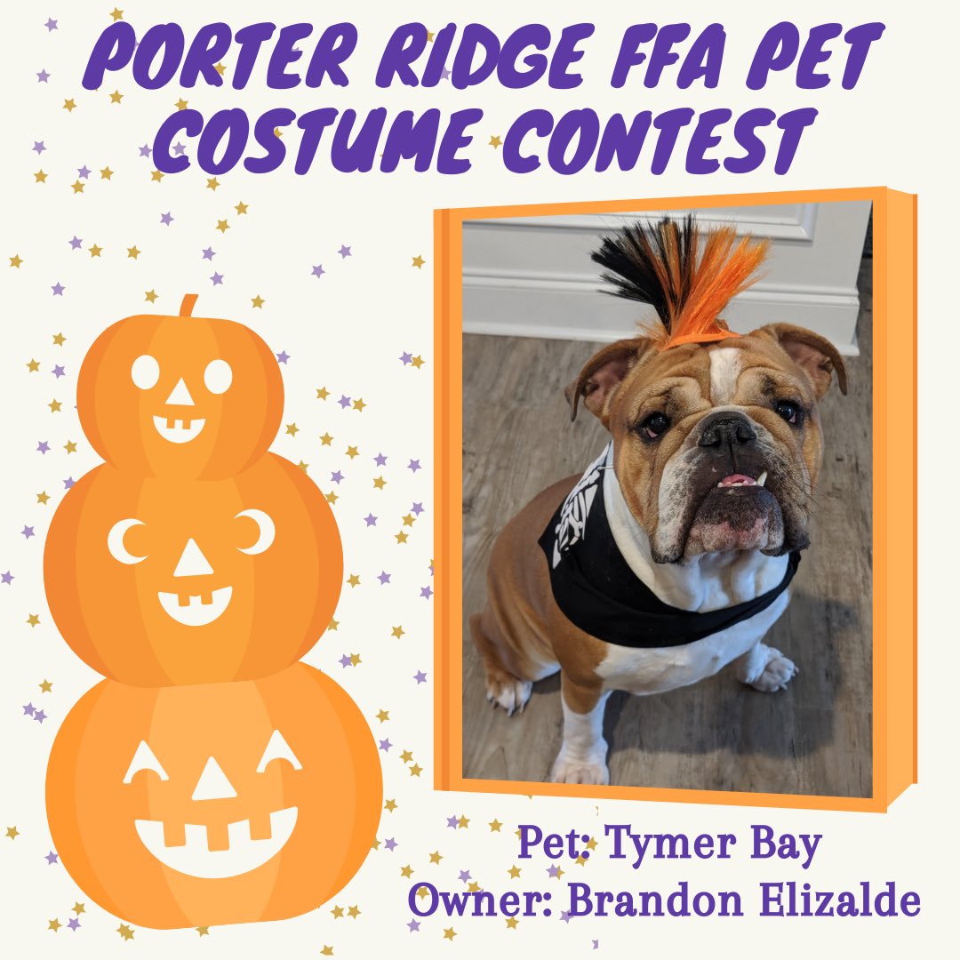 PorterRidgeFFA's tweet photo. Check out these adorable pets in their costumes from the pet costume contest!! 🎃👻🧡 Stay tuned for more pictures this week!! @PorterRidgeHSNC @PRHSCareer https://t.co/S1Gok3ewAW