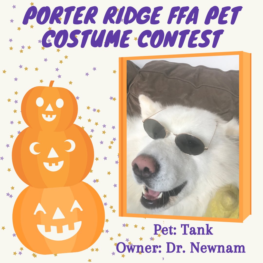 PorterRidgeFFA's tweet photo. Check out these adorable pets in their costumes from the pet costume contest!! 🎃👻🧡 Stay tuned for more pictures this week!! @PorterRidgeHSNC @PRHSCareer https://t.co/S1Gok3ewAW