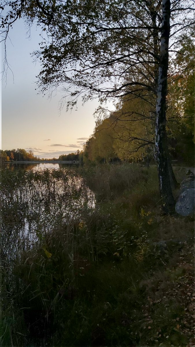 AvdalHjelle's tweet photo. "My favorite color is October 🍂🥰 https://t.co/wcAhK1E7rU