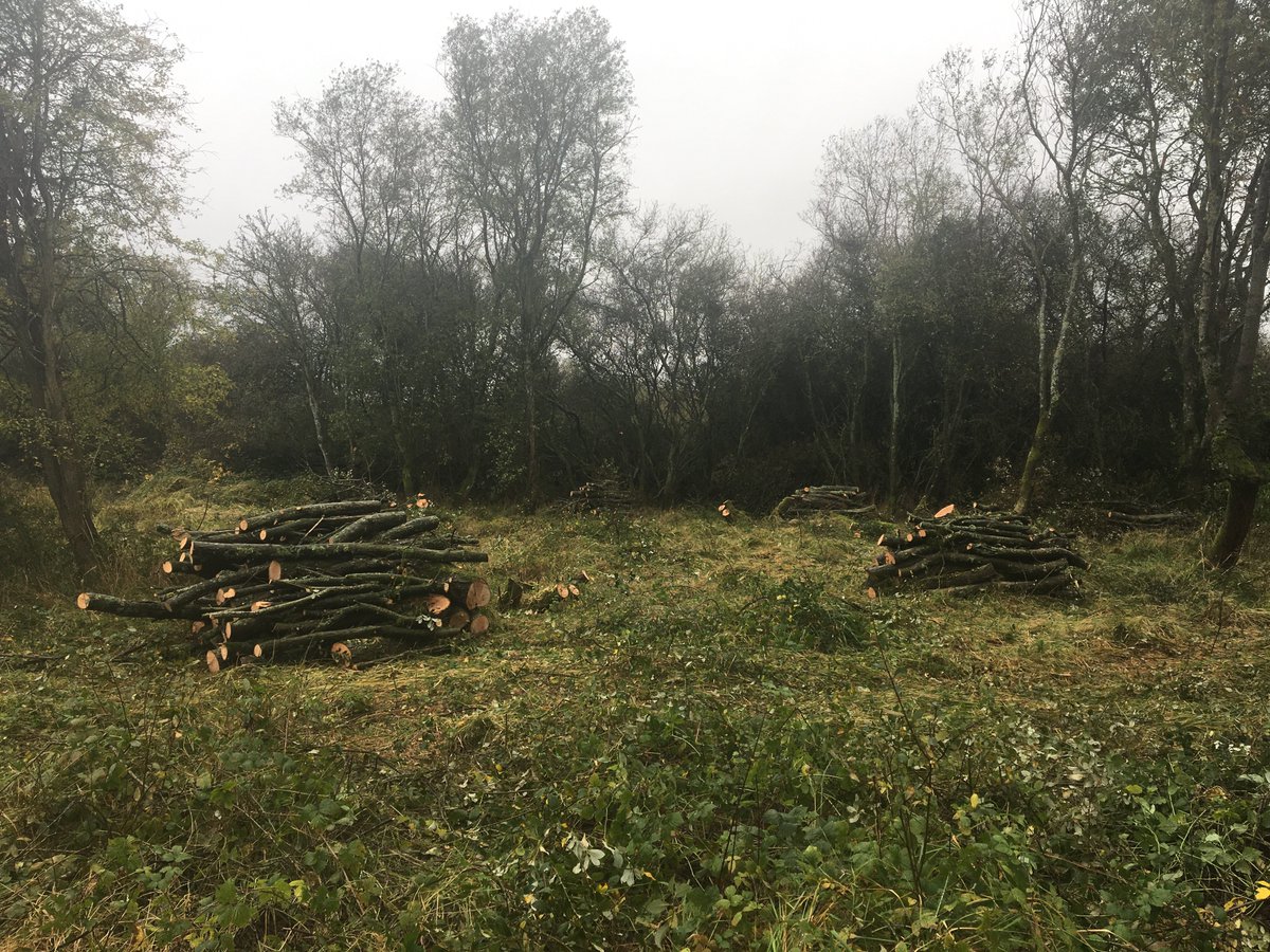AJAtherton090's tweet photo. Great Teamwork! Thank you @chilternrangers @UpperThamesBC and all of our fantastic volunteers. Despite very challenging weather conditions, your valiant efforts have helped to improve our precious butterfly habitats. #TeamHQBG #ProjectNEPTUNE @ArmySouthEast #blackthorn @mod_dio https://t.co/qgZXYQh6K4