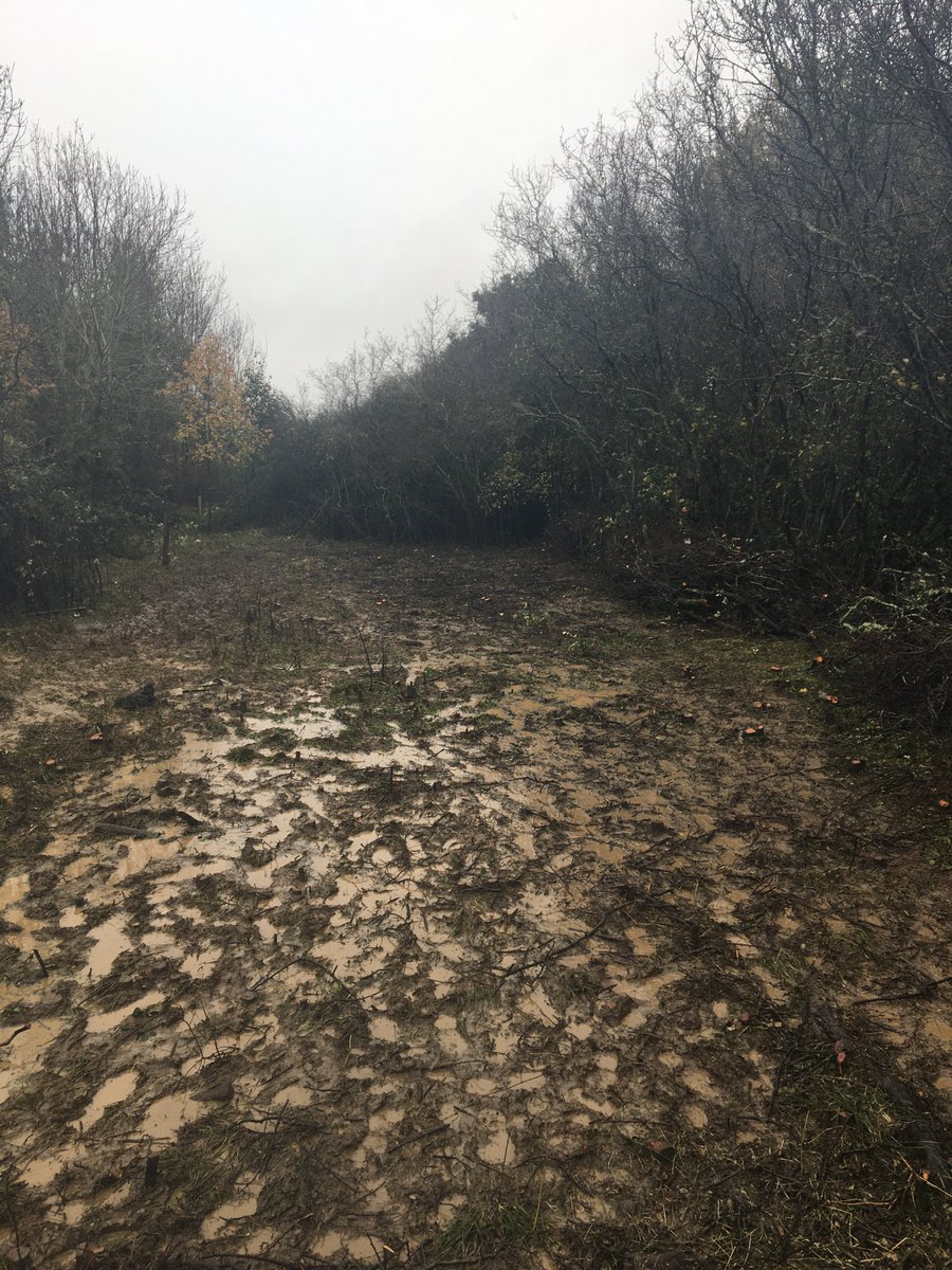 AJAtherton090's tweet photo. Great Teamwork! Thank you @chilternrangers @UpperThamesBC and all of our fantastic volunteers. Despite very challenging weather conditions, your valiant efforts have helped to improve our precious butterfly habitats. #TeamHQBG #ProjectNEPTUNE @ArmySouthEast #blackthorn @mod_dio https://t.co/qgZXYQh6K4