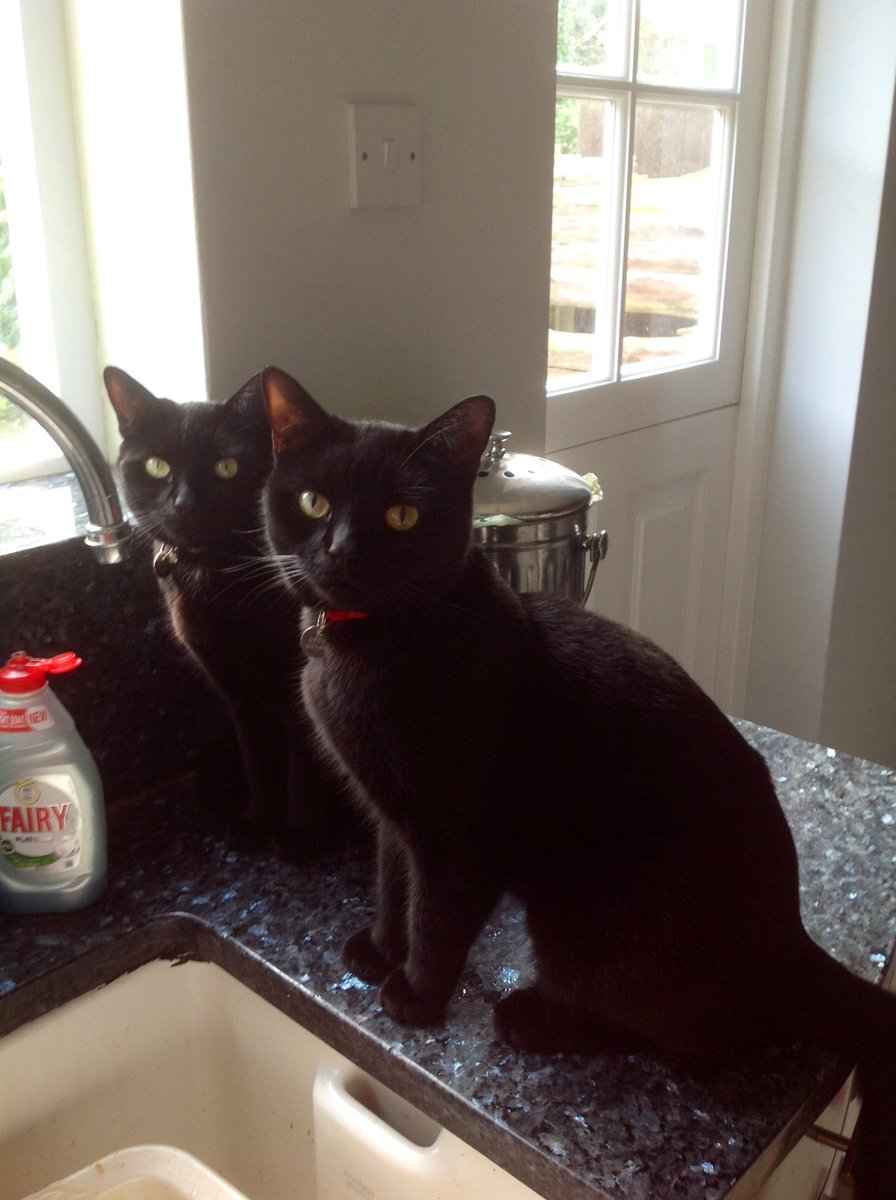 Double trouble !