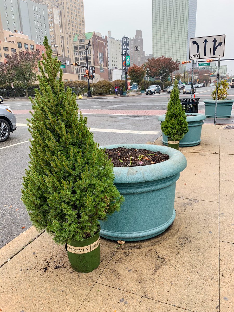 DowntownNewark's tweet photo. Hey, #NEWARK! As fall is coming closer to an end, we’re getting ready for our winter planting. So stay tuned for a new display!
#byebyefall #winterplants #plantremoval #newark #nwk #ewr #nj #newarknj #plants https://t.co/R0cLcKuPaW