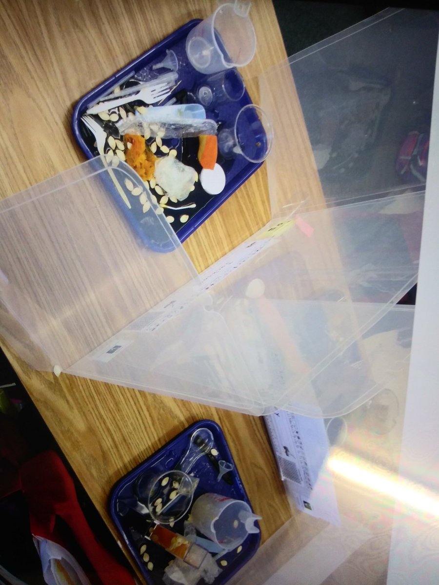 Science Exploration Centers; using science tools to explore pumpkins! (With the before/after pictures, you can see just how creative these little scientists were!  <a href="/OrmondBeachElem/">Ormond Beach Elem</a> #vcsscience