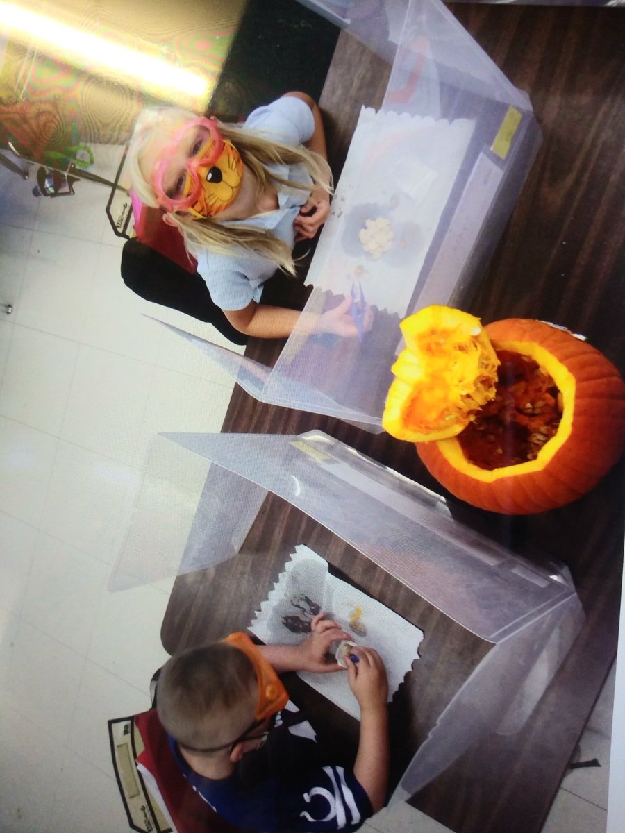 Science/Math Exploration with pumpkin seeds! Using science tools to work on fine motor skills while counting by ones and groups of tens. Then collecting data with comparing sizes and amounts between pairs. <a href="/OrmondBeachElem/">Ormond Beach Elem</a>. #vcsscience