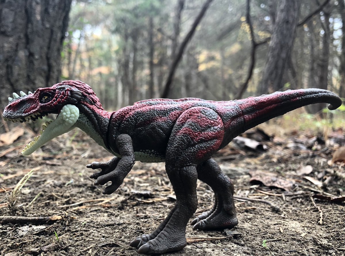 CollectorPaleo's tweet photo. *Bonus Pic* Portrait of an Alioramus
#mattel #matteljurassicworld #matteltoys #jurassicworld #jurassicpark #jurassicworldtoys #jurassicparktoys #primalattack #attackpack #tyrannosaur https://t.co/L08obGTaNq