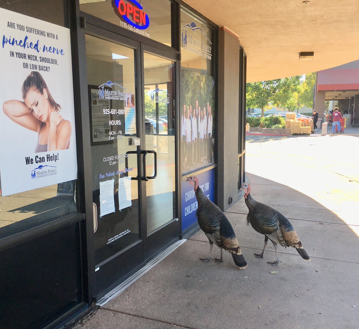 Keith_Garriott's tweet photo. A couple of #turkeys 🦃 waiting to see the chiropractor without their masks on... 😷 I bet they’ll give them some jive #turkey talk to get in! 🦃 https://t.co/ashJGnkDh1