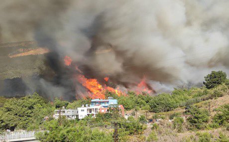 Kim vesile oluyorsa Allah belasını versin. #hatayyaniyor