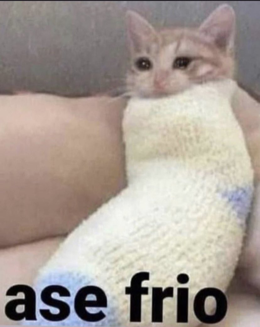 Saul_Palafoxy's tweet photo. Me waking up in the morning https://t.co/dxaIVZFwft
