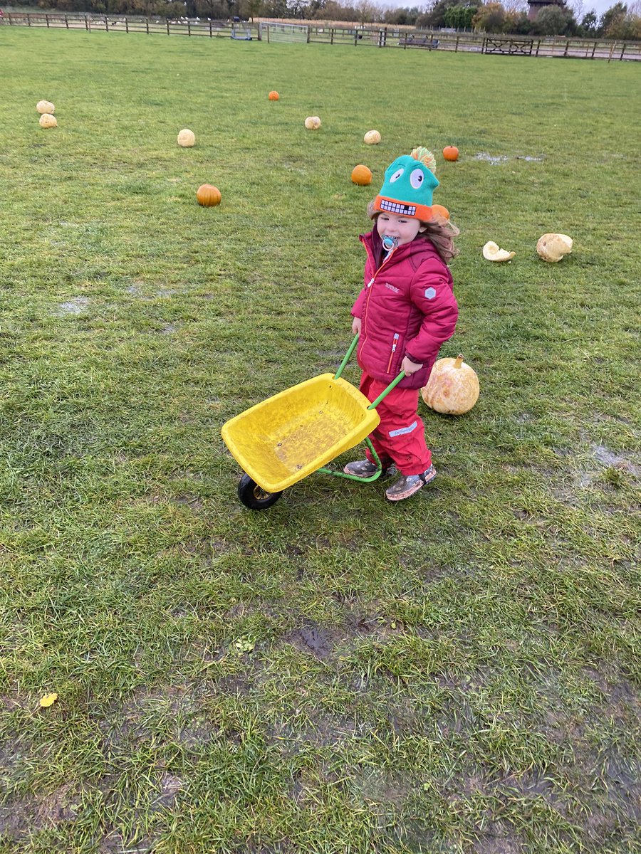 RiveRebecca's tweet photo. Pumpkin picking - had an absolute blast racing round in her barrow ๐ #windmillfarm https://t.co/mvEEE4ChFd