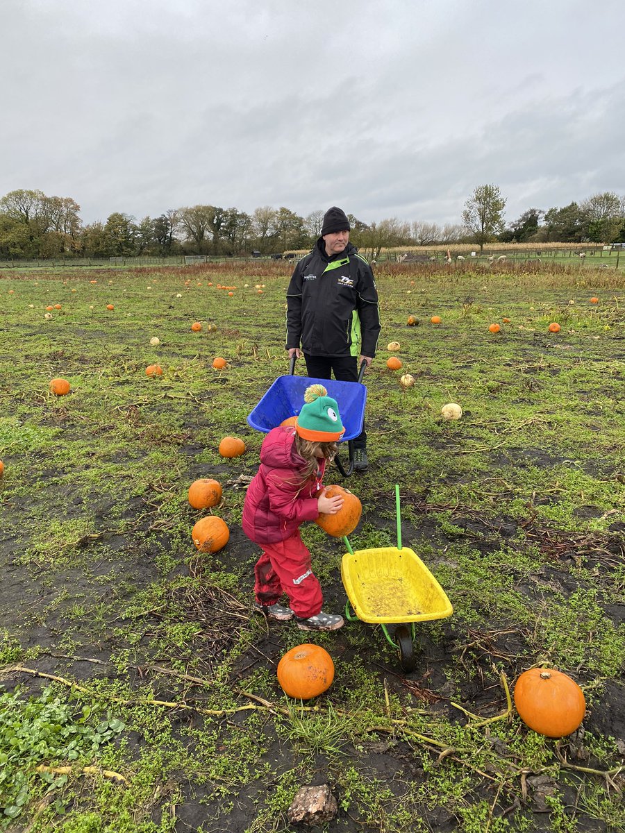 RiveRebecca's tweet photo. Pumpkin picking - had an absolute blast racing round in her barrow ๐ #windmillfarm https://t.co/mvEEE4ChFd