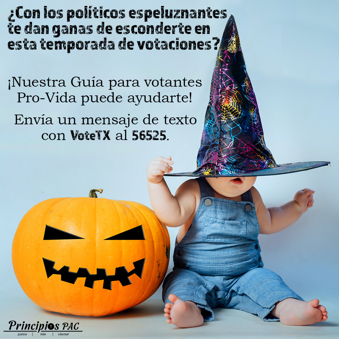 PrincipiosPAC's tweet photo. https://t.co/1J7Q49nDdb