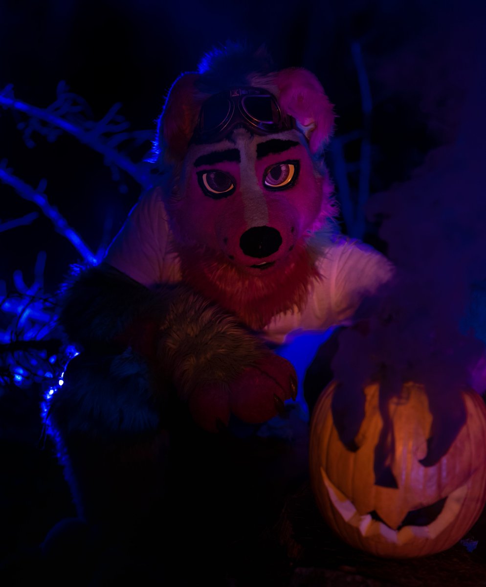 You are ready for Halloween? 🎃🐺

📸 <a href="/FurJorden/">Jorden</a> &amp; <a href="/fluffy_studio/">Fluffy Paws Studio</a> 

#Furry #Fursuit #Halloween
