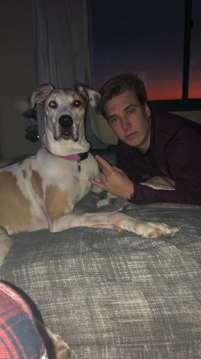 AXPCrowsRMU's tweet image. Today we are celebrating Stephen Weyant as Brother of The Month! He’s always been a good brother to everyone and is currently serving as the chapters Chaplin. 

“God is Great, Be Men” - Quote by Stephen (a.k.a Scuba)

🎃 Have a spooky and safe holiday season everyone 🎃