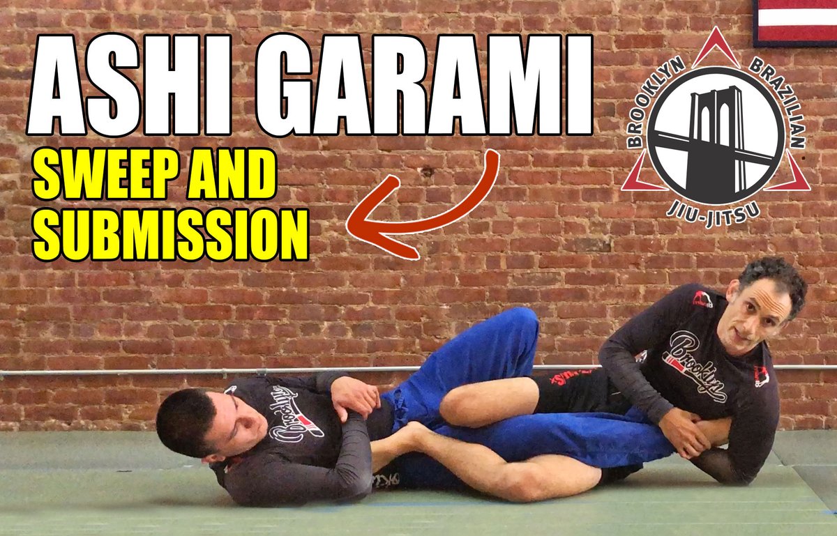 "Sustainability" + Ashi-Garami Leglock Video 📹 - mailchi.mp/e5221a3a5c01/t…