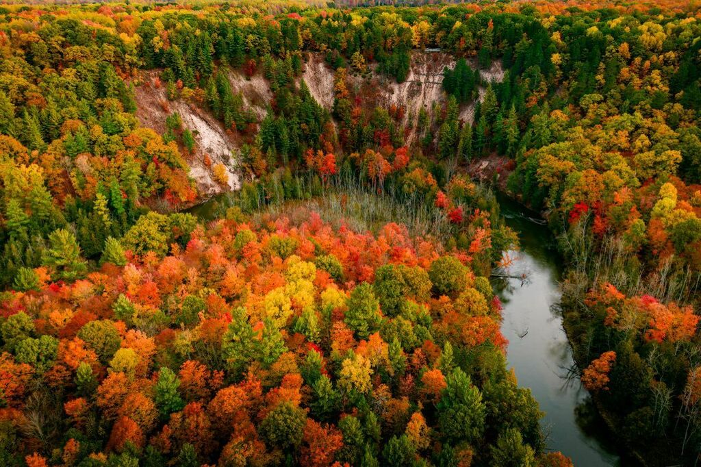 dennisbuchner's tweet photo. High Rollaways  #puremanistee #highrollaways  #manisteeriver #puremichigan #puremittigan #puremittenpride #puremitten #m22life #Michigan #michiganphotographer #canon #on1photo #grandtraverseliving #capturingmichigan #greatlakesstate #onlyinmichigan #uppermichiganphotographer… https://t.co/ToyR0oQgJz