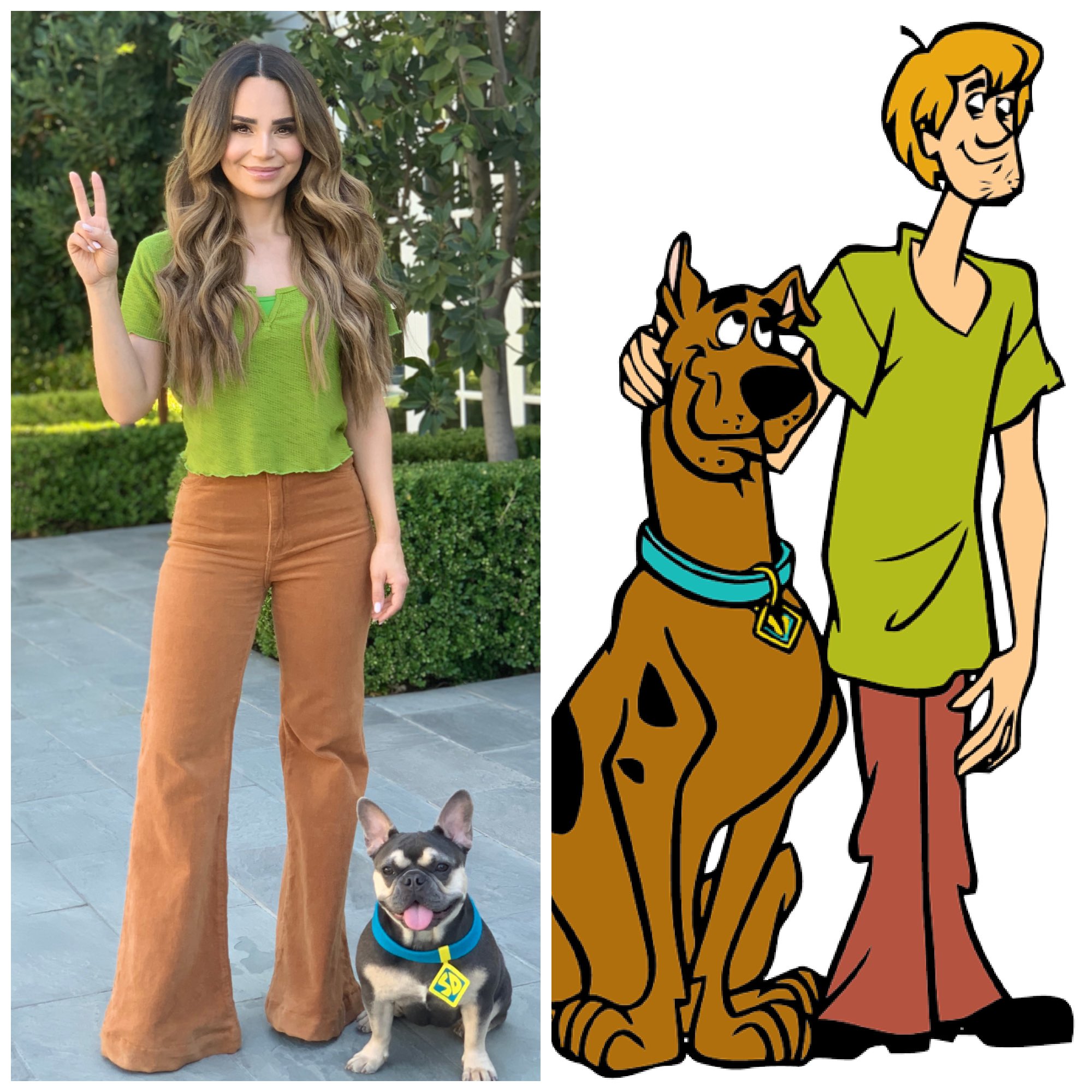 Rosanna Pansino on X: "Shaggy & Scooby! Fun Halloween costume idea for you & your dog! https://t.co/LuWWr7RCyX" / X