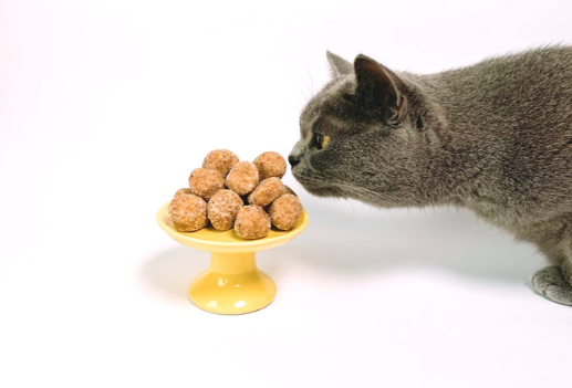 healthy pet shop totton