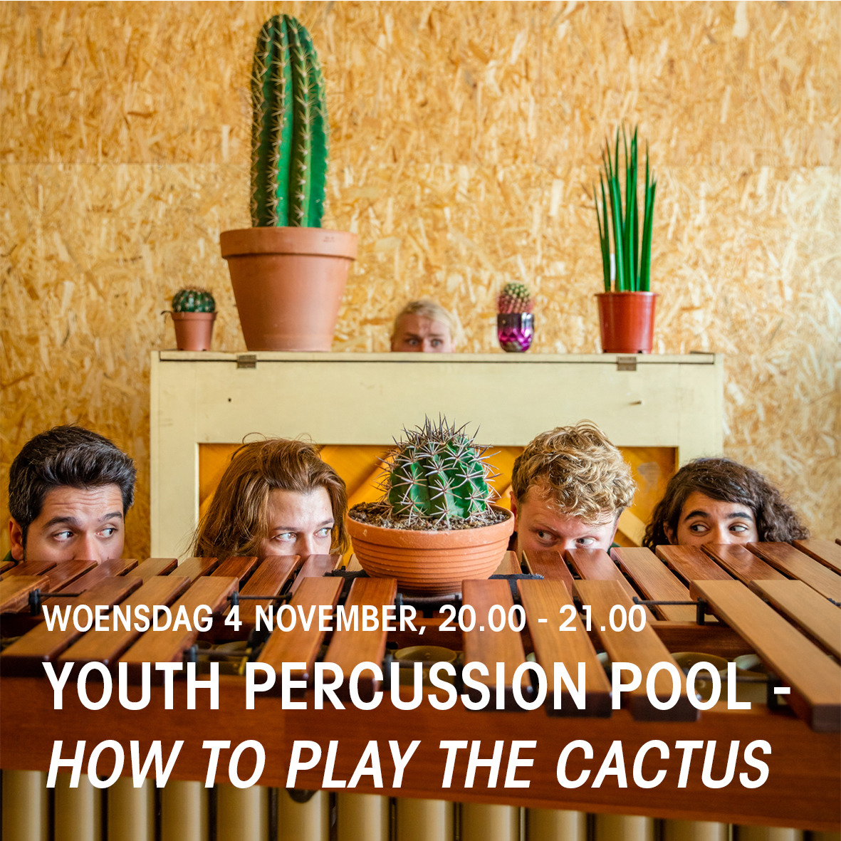 soundsofmusic tweet media