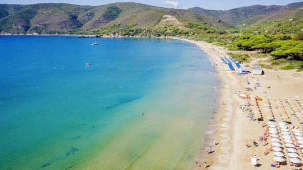 CentralElba's tweet photo. Lacona’s beach is located in #Capoliveri. It is long 1200 metres and it is perfect for family thanks to the large pine forest. There are also beach volleyball court where you can enjoy a game!! 🐚🐚🐬 https://t.co/nVxObtH0Bc