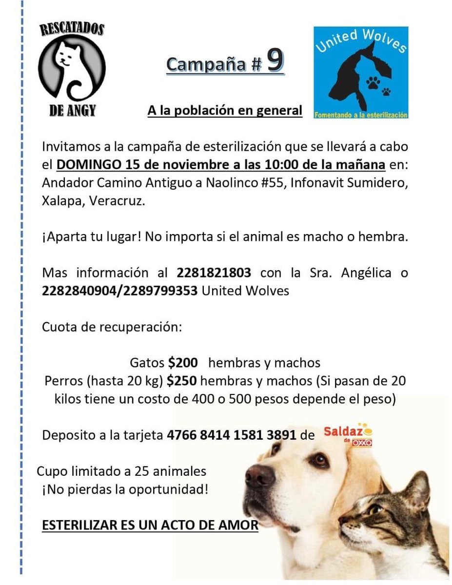 ESTERILIZA🐱🐶 #Xalapa <a href="/EvaVarona_/">Eva Varona</a> <a href="/danielfcarrion/">Daniel Fernández Carrión</a> <a href="/PauSchrodinger/">PauSchrödinger</a> <a href="/pilykuera/">Pily Peregrina</a> <a href="/mayteponm/">Mayte P.</a> <a href="/Corintiacruz/">Corintia Cruz Oregón</a> <a href="/penelopemoncayo/">Penélope Moncayo.</a> <a href="/gaferat1/">Guillermo Agüero Ferat</a> <a href="/Ydlan/">Naldy Patricia</a> @rizzoenlanotici <a href="/VialidadXalapa/">Vialidad Xalapa 🚦 VX 🌎</a> <a href="/marydebeck/">Maryde</a> <a href="/sara_juarez/">saraliz</a> <a href="/PacoDizfinck/">𝗣𝗮𝗰𝗼 𝗗𝗶𝘇𝗳𝗶𝗻𝗰𝗸</a> <a href="/virniux22/">virotito 🇲🇽</a> <a href="/nayani83/">Nayani Gálvez Ríos</a> @mitzi_arias <a href="/mageba04/">Gina alarcon</a> <a href="/anicienta_6/">Ana Pelaez</a> <a href="/RoxanaAAT/">Feto de PicaFresa🍓</a>