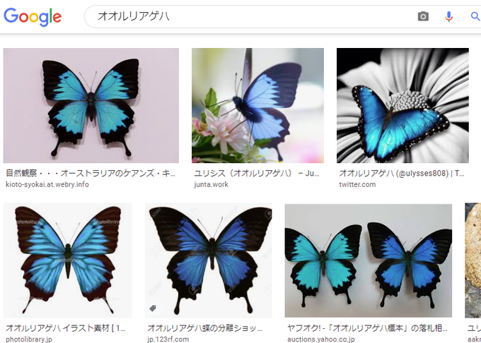 ルリアゲハで検索するといっぱい出てくるのtwitterイラスト検索結果 ルリアゲハで検索するといっぱい出てくるのtwitterイラスト検索結果