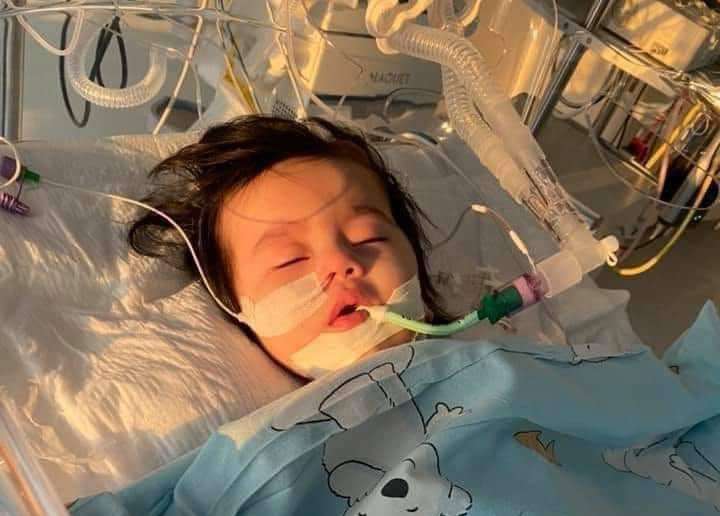 RokkaAbinash's tweet photo. @MrBeastYT I just created Twitter to ask you for help, please mr beast #SaveSiyona I have seen you helping many peoples, and I believe you can help her too Jimmy. She is just 13mths old baby suffering from SME( spinal muscular atrophy), please MrBeast. https://t.co/AlAAb62oOl